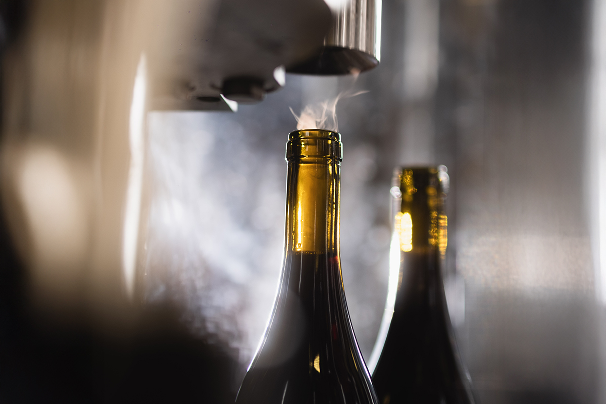 Winemaking & Cellar